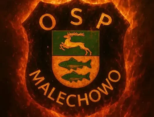 Usuwanie powalonego drewna w Podgórkach – interwencja OSP Malechowo i OSP Ostrowiec