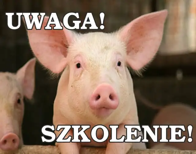 Szkolenie dla hodowców trzody chlewnej w Sławnie – obowiązkowe spotkanie w sprawie ASF
