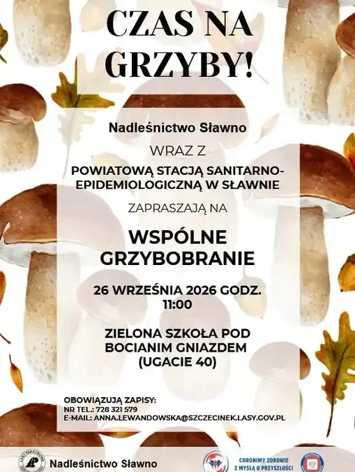 Grzybobranie z edukacją przyrodniczą w Ugaciu – zapisy trwają