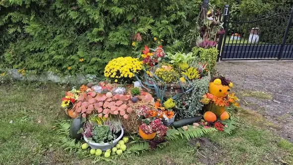 Festiwal Bulwy i Dyni we Wszędzieniu – trwa głosowanie na jesienne dekoracje