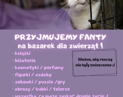 Szkoła Podstawowa w Darłowie organizuje zbiórkę na rzecz zwierząt